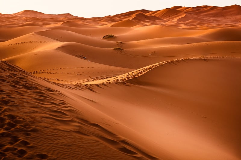 Desert landscape with sand dunes